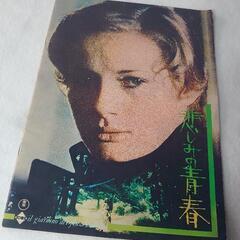 ドミンク・サンダ『悲しみの青春』映画パンフ 【東宝】