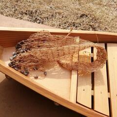 　受け渡し　決定　舟盛り用　舟の画像