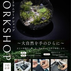 苔テラリウムの作成・販売・ワークショップ