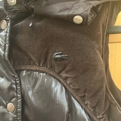 LACOSTEベストレディース
Mサイズの画像
