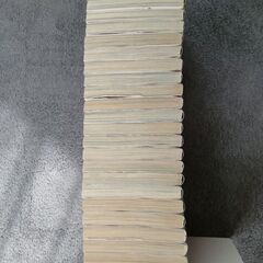 ヤマトナデシコ七変化　26冊　はやかわともこの画像