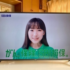 LG 4Kパネル,Wi-Fi対応 アプリ多数 43インチ液晶テレビ 43UJ6100の画像