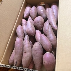 🍠サツマイモ🍠芋の画像