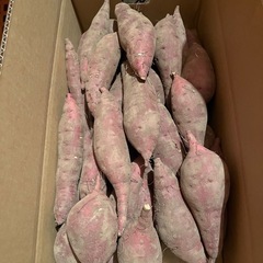 🍠サツマイモ🍠芋