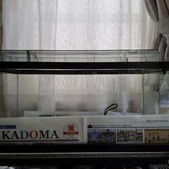 gexマリーナ60LOWタイプ60×30×26水槽セット