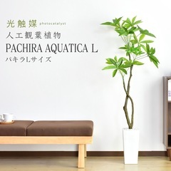 人工観葉植物