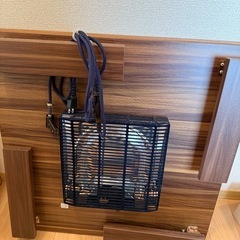 こたつ