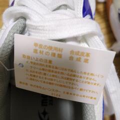 MOONSTAR　23センチの画像