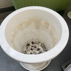 プランター丸型の画像