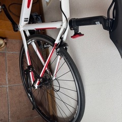 ジャイアントの画像