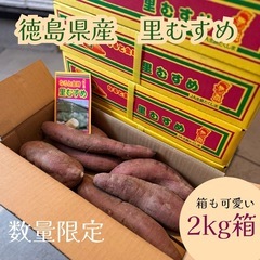 売り切り特価　徳島県産なると金時　里むすめ　2kg 箱入り　M〜...