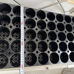 育苗セット(トレー&ポット)の画像
