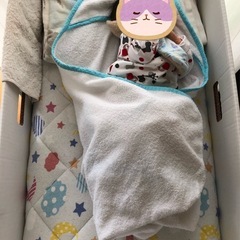 フィンランド　フィニッシュベイビーボックスの画像