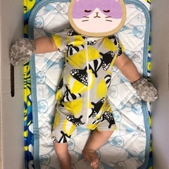 フィンランド　フィニッシュベイビーボックスの画像