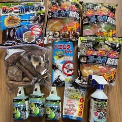 カブトムシ　ゼリー　セット　　