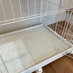 アイリスオーヤマ　猫用2段ゲージ（交渉中）
の画像