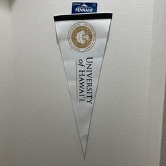 ハワイ大学　ペナント