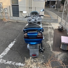 スズキ　スカイウェブ250の画像