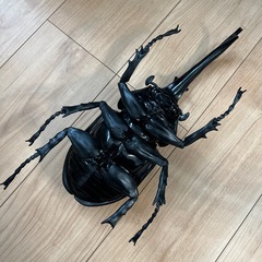 値下げしました↓　カブトムシ（イエローの画像