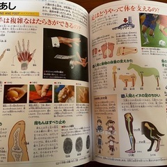 小学館こども大百科の画像