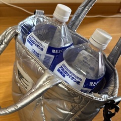 2wayバックの画像