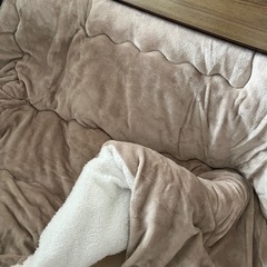 こたつ布団　の画像