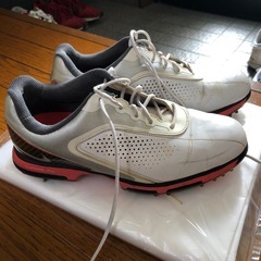 ナイキNIKEゴルフシューズ
