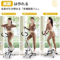 折りたたみ式
足踏み健康器具 ツイストエアロステッパー 負荷調整 静音 ハンドルの画像