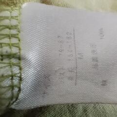 レディース　Tシャツの画像