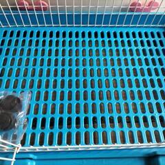 小動物ゲージの画像