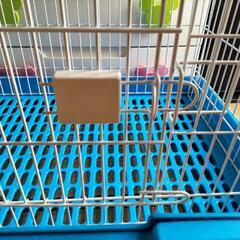 小動物ゲージの画像