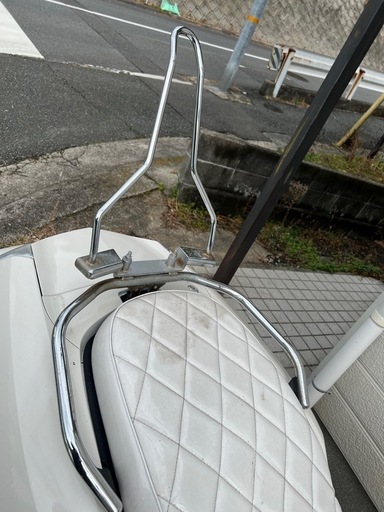 マグザム250