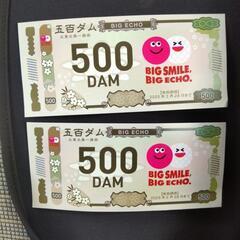 ビックエコー　割引券　500円✕2枚分
