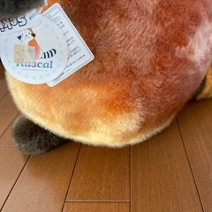 ぬいぐるみ ラスカルの画像