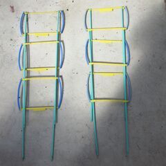 観察用植木鉢の画像