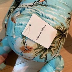 coenぬいぐるみの画像