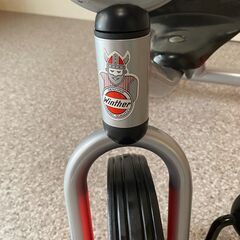 ボーネルンド２０００年限定/三輪車/お引き取り限定/値下げ不可の画像