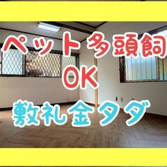 【🉐庭付き戸建て🉐】ペット多頭飼オッケー✨三田市加茂1086-1...