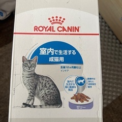 ロイヤルカナン　室内で生活する生活する成猫用　ウェット　チャンクゼリー