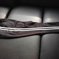 レディース　ジャージの画像