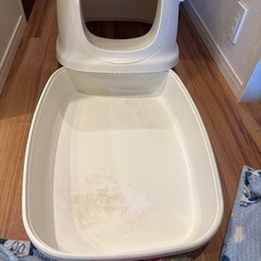 猫大型トイレの画像