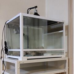 爬虫類飼育用品の画像