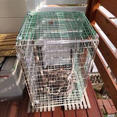 爬虫類飼育用品の画像