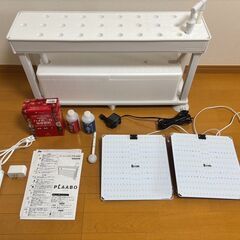 室内でできる水耕栽培セット