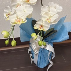 胡蝶蘭　造花　インテリア　お花の画像