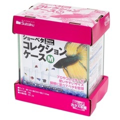 ガラス水槽 ショーベタ コレクションケース M