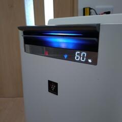 （近日中に処分いたします）シャープ　加湿空気清浄機　2017年製の画像