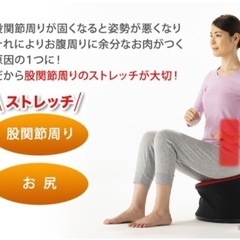 体幹トレーニング　骨盤ダイエット　シェイクヒップホップ