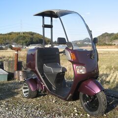 ワイトレカスタム　ミニカ－登録可能　実働ジャイロキャノピー　未整...