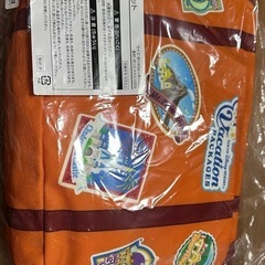 Tokyo Disney Vacation Package グッズセットの画像